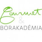 borakademia_logo1