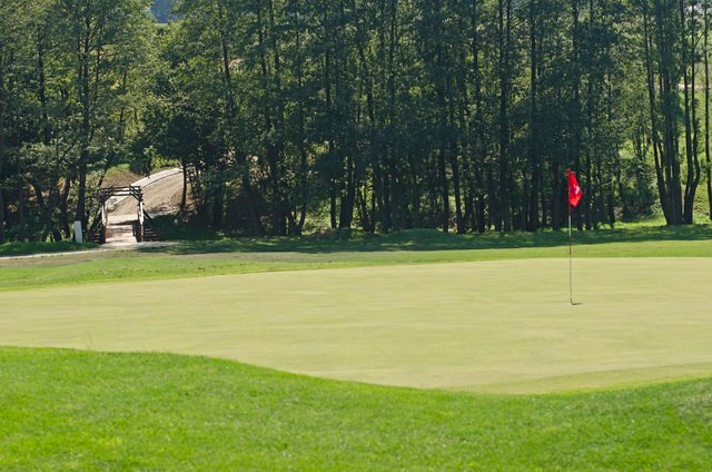 fhgc_green9