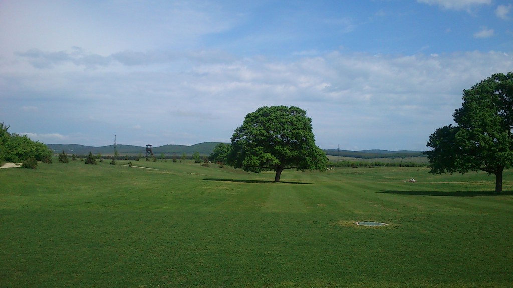 vadrozsa2
